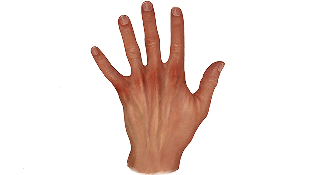Hand